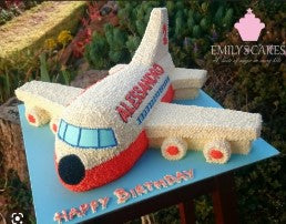 Special Airplane cake on 14"