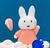 Special Order 6" Miffy and Lawyer Theme